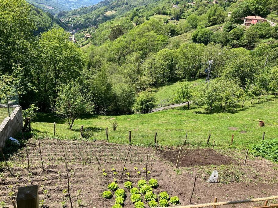 Villa La So Casa -En El Corazon De Asturias à Armiello Extérieur photo