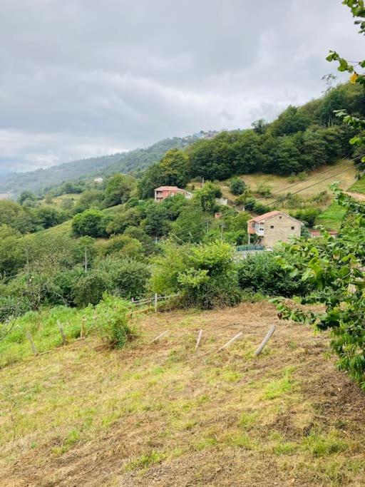 Villa La So Casa -En El Corazon De Asturias à Armiello Extérieur photo